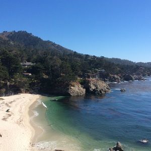 Meet your Posher, Alison